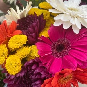 Meet your Posher, Jerianne